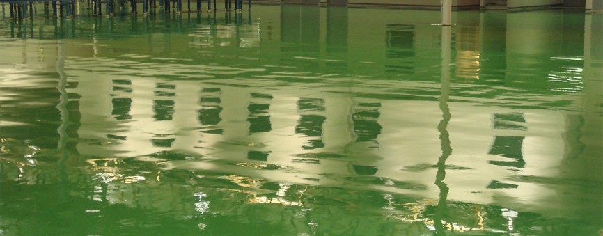 Specialty Flooring